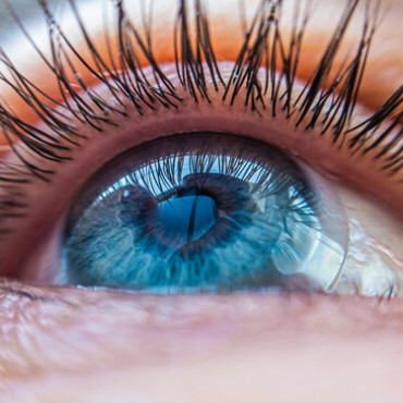lentille de contact